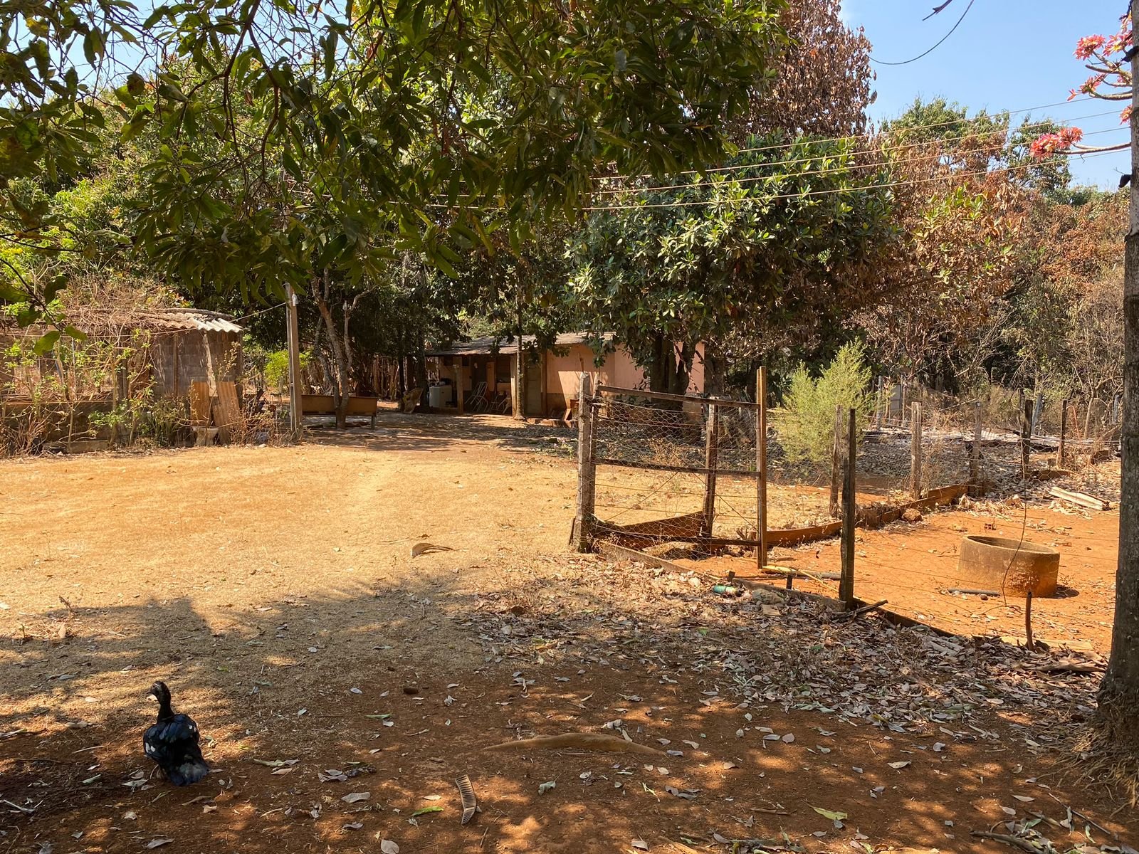 Chácara Escriturada 6.251m² Próximo a Brazlândia com casa água e energia elétrica