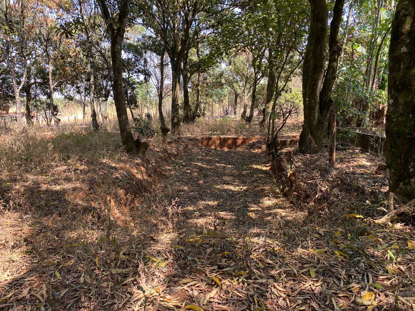Chácara Escriturada 8.241 Próximo a Brazlândia Terreno Limpo com cerca.